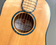 Load image into Gallery viewer, Coppard Guitars Danger
