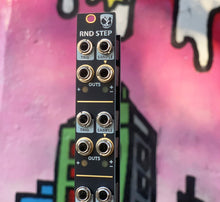 Load image into Gallery viewer, DivKid/SSF RND STEP