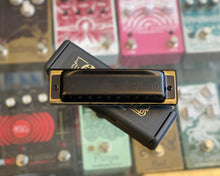 Load image into Gallery viewer, Hohner Pro Harp C
