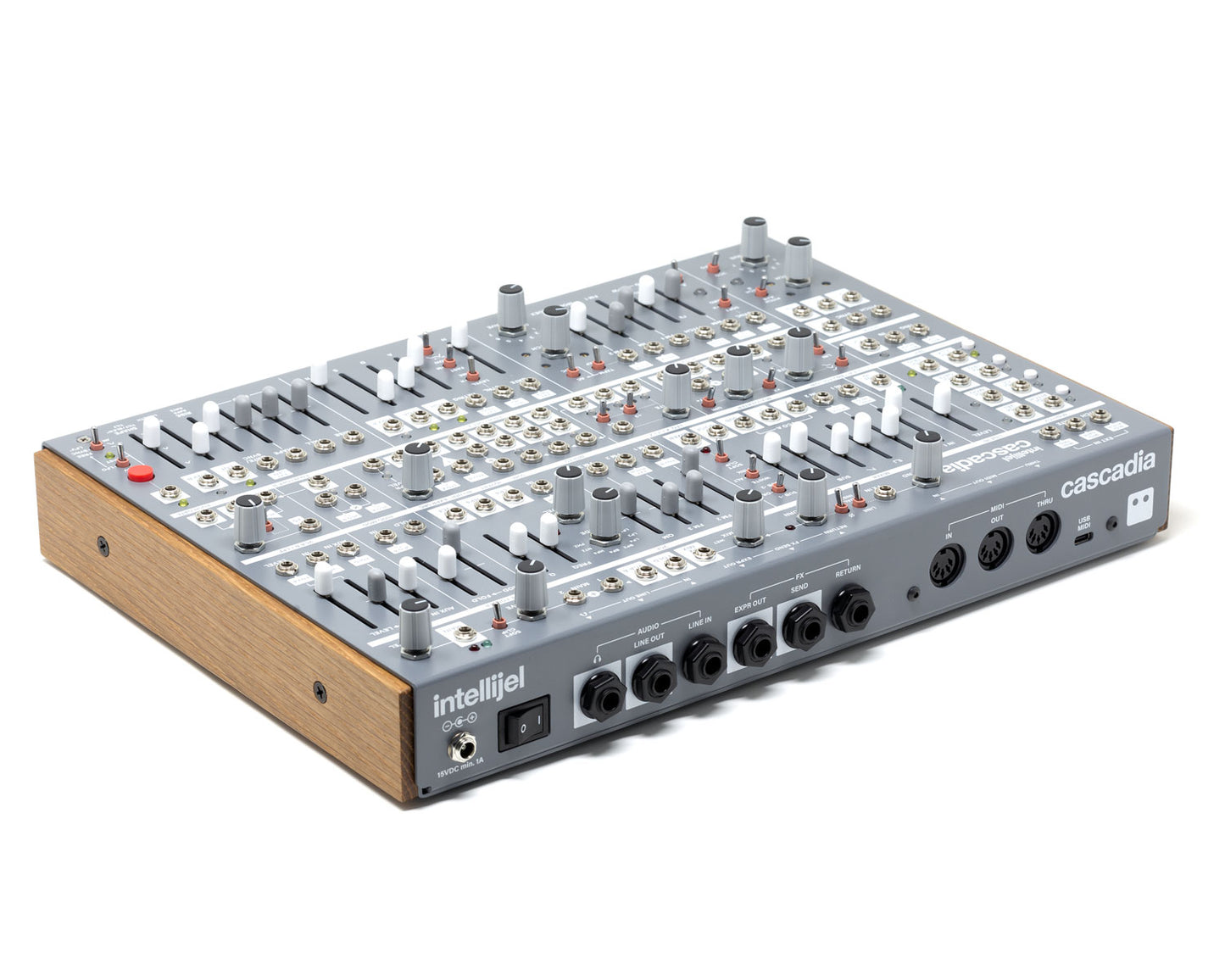 Intellijel Cascadia Semi-Modular Mono Synth - Grey