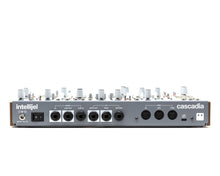 Load image into Gallery viewer, Intellijel Cascadia Semi-Modular Mono Synth - Grey