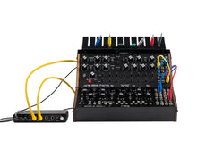 Load image into Gallery viewer, Moog Sound Studio Bundle (DFAM & Mother-32)