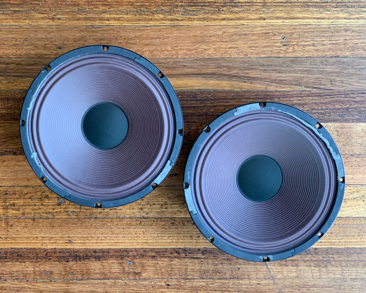 Marshall gold back sales celestion