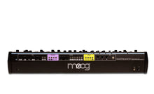 Load image into Gallery viewer, Moog Matriarch Patchable 4-note Paraphonic Analogue Synthesiser