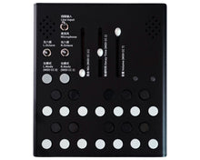 Load image into Gallery viewer, Meng Qi Wingie2 Stereo Resonator