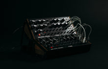 Load image into Gallery viewer, Moog DFAM Drummer From Another Mother