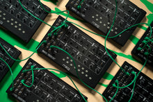 Load image into Gallery viewer, Moog Mavis DiY Semi-Modular Analogue Synthesizer