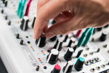 Load image into Gallery viewer, Mutable Instruments Tides 🌊