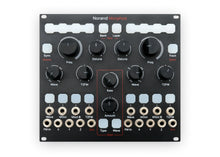 Load image into Gallery viewer, Norand Morphos Complex Oscillator