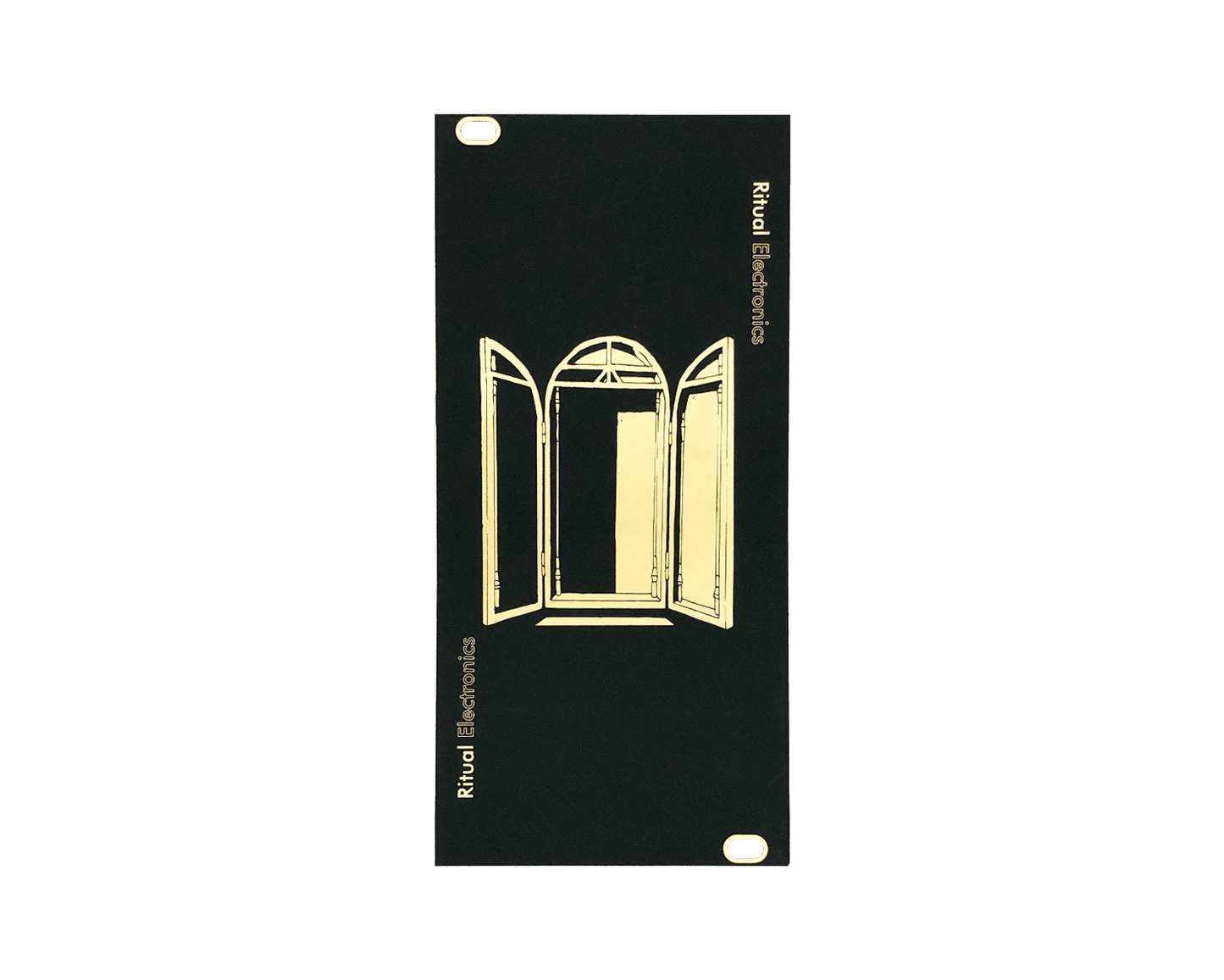 Ritual Electronics Blank 3U - 12HP