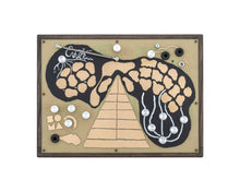 Load image into Gallery viewer, B Stock Soma Laboratory Enner - Night Frog