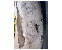 Load image into Gallery viewer, This Guitar Belongs to Rowland S. Howard