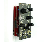 Load image into Gallery viewer, Worng ACRONYM Analogue Morphing VCO