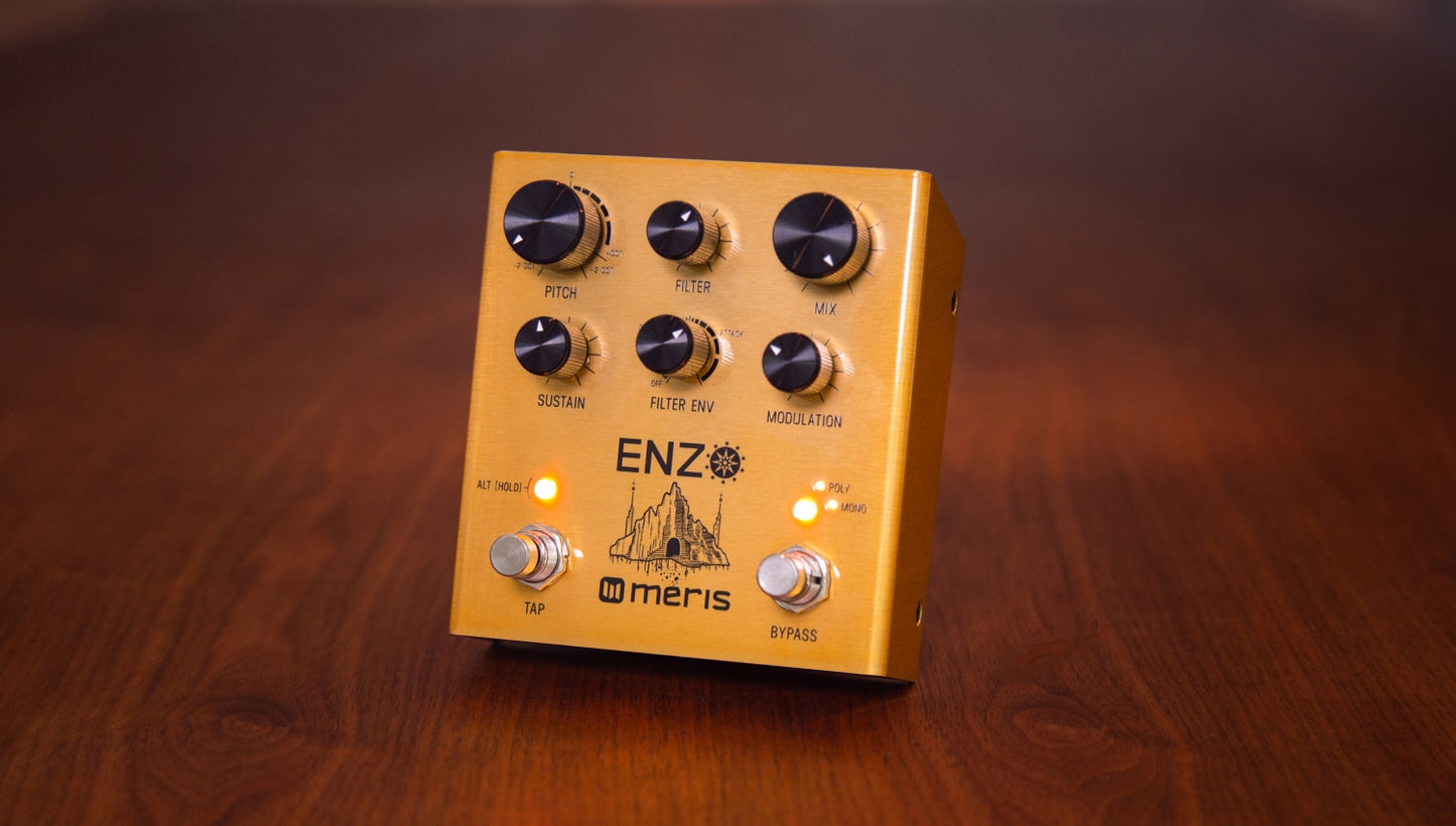 Meris Enzo Multi-Voice Synthesizer Pedal
