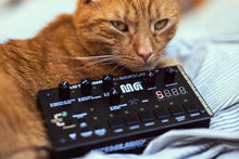 Load image into Gallery viewer, Bastl Instruments Microgranny Monolith PCB Post Sound Granular Sampler