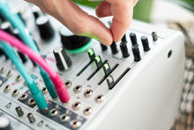 Load image into Gallery viewer, Mutable Instruments Veils