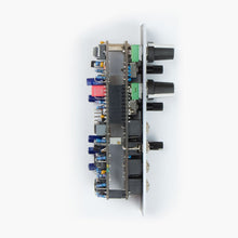 Load image into Gallery viewer, Plankton Electronics Spice VCF