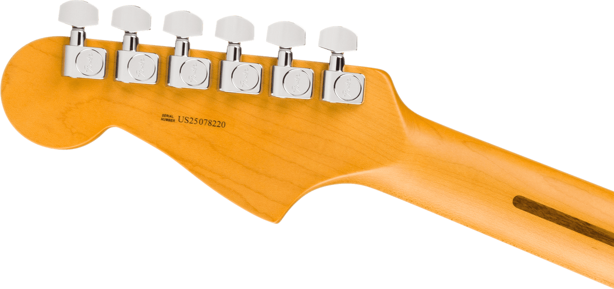 Fender American Professional Jazzmaster - Dark Night