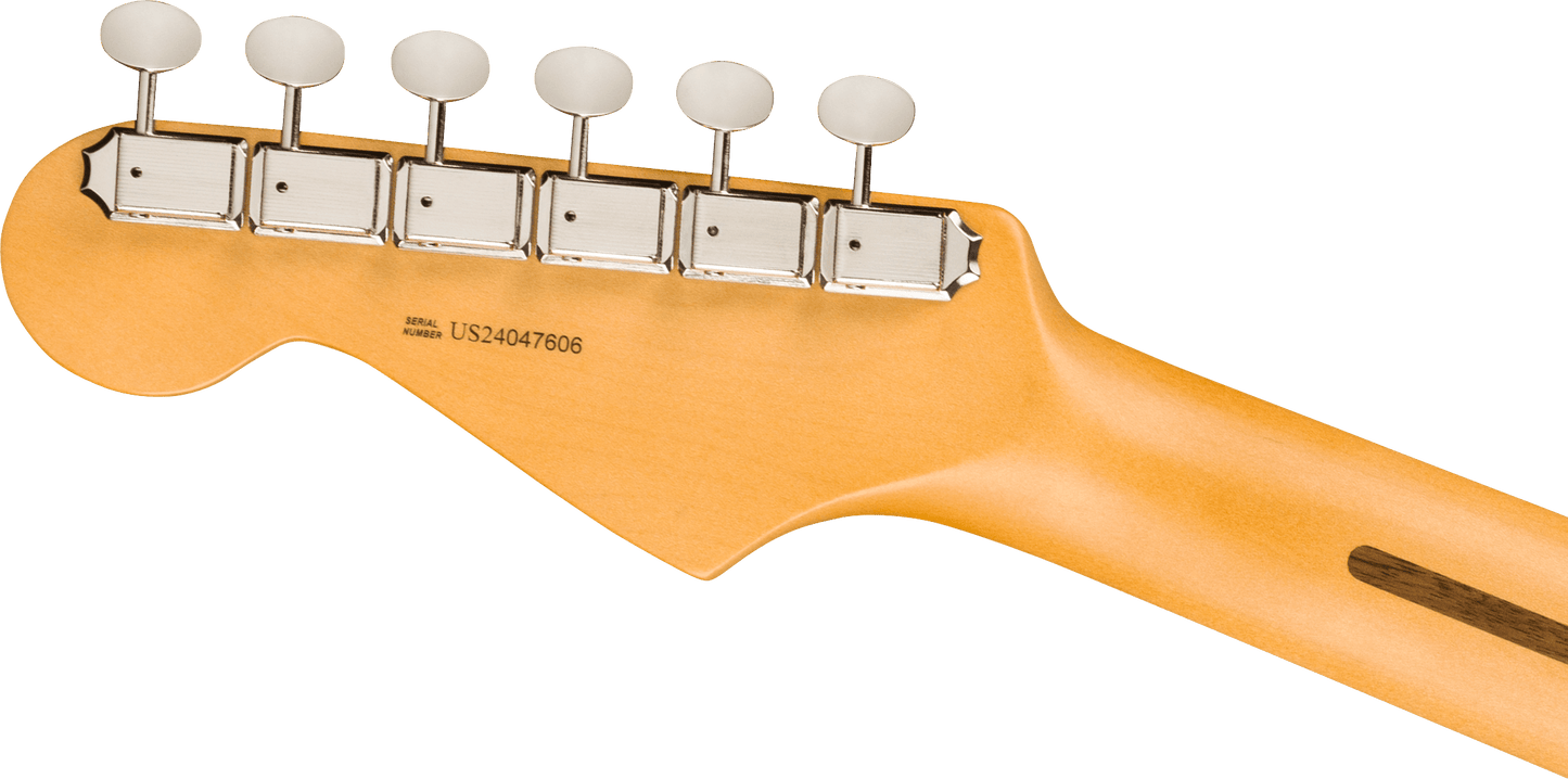 Fender American Professional Classic Stratocaster - Faded Black