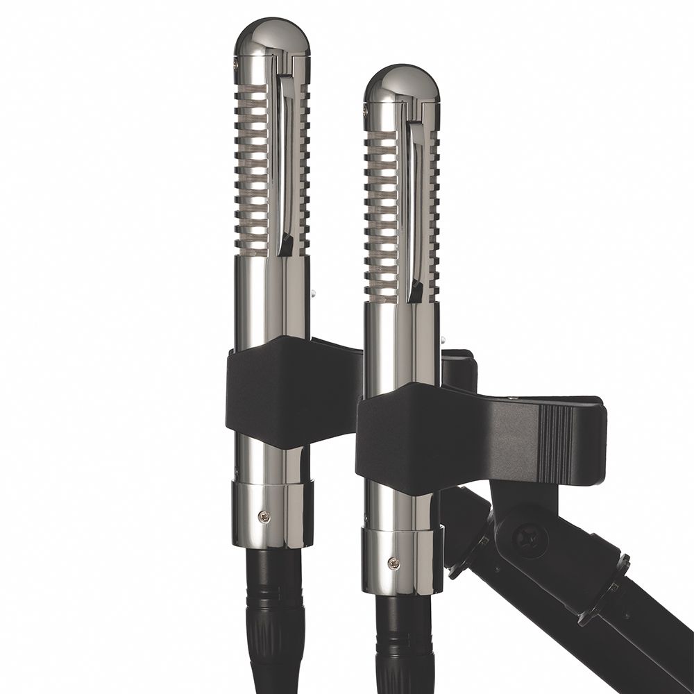 Warm Audio Fen-Tone Instrument Ribbon Microphone - Stereo Pair