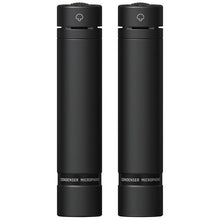 Load image into Gallery viewer, Behringer C-2 - Dark Edition
