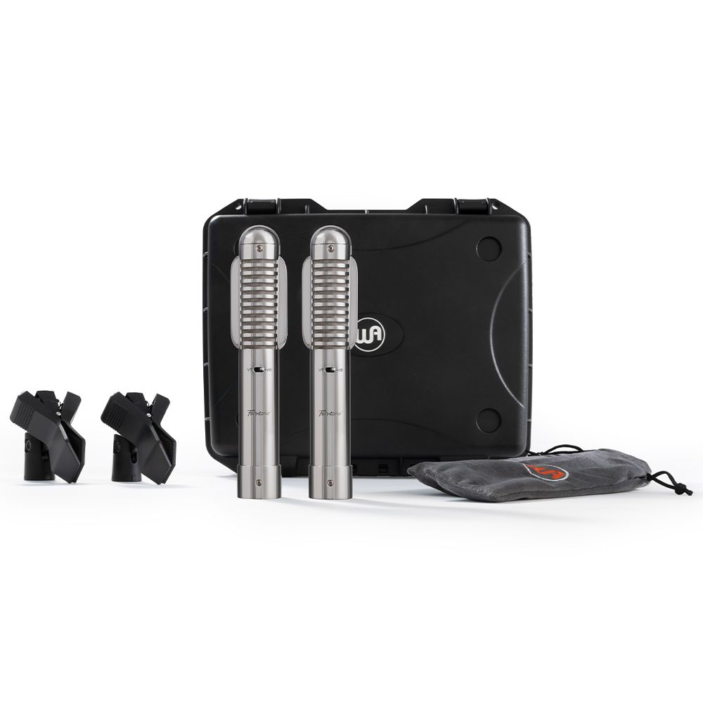 Warm Audio Fen-Tone Instrument Ribbon Microphone - Stereo Pair