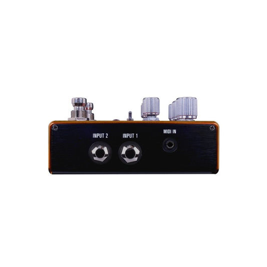 Source Audio Pathways Reverb + Tremolo