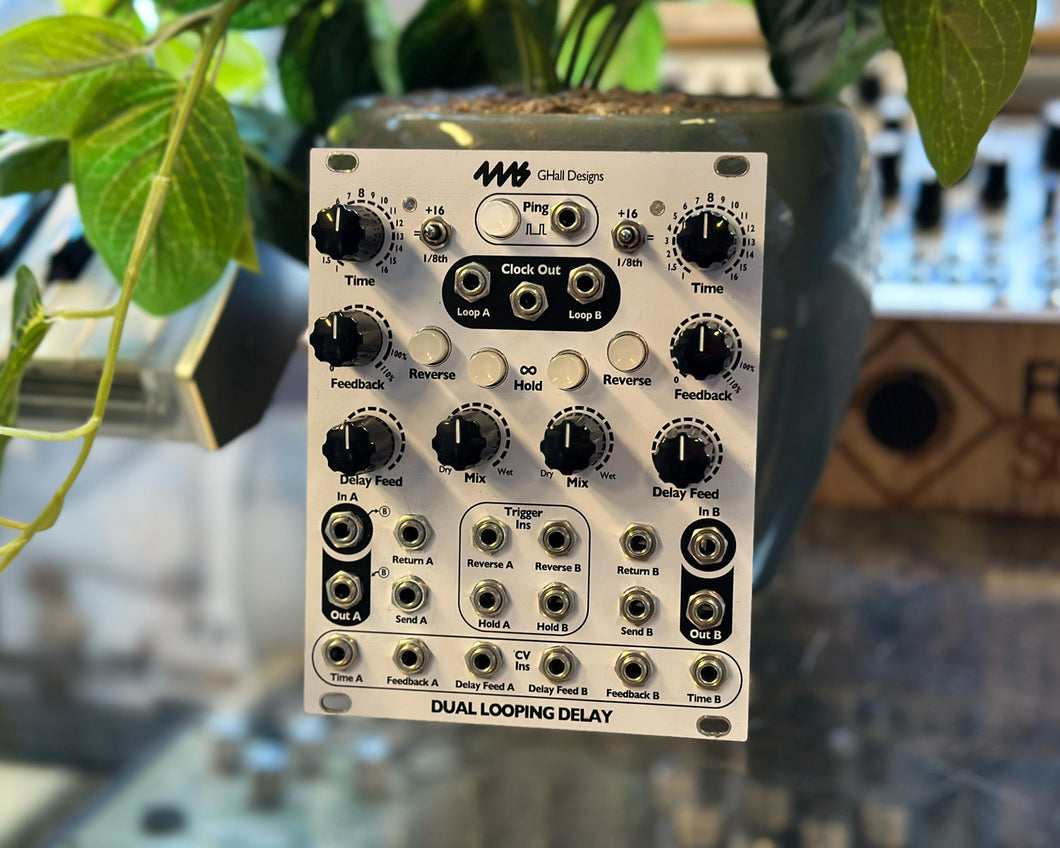 4ms Dual Looping Delay
