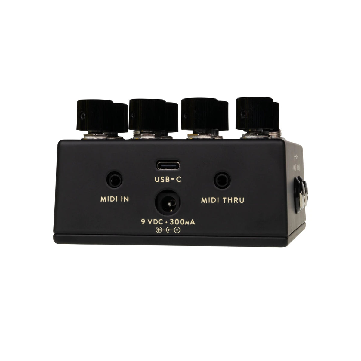 Walrus Audio Fable Granular Soundscape Generator MKII