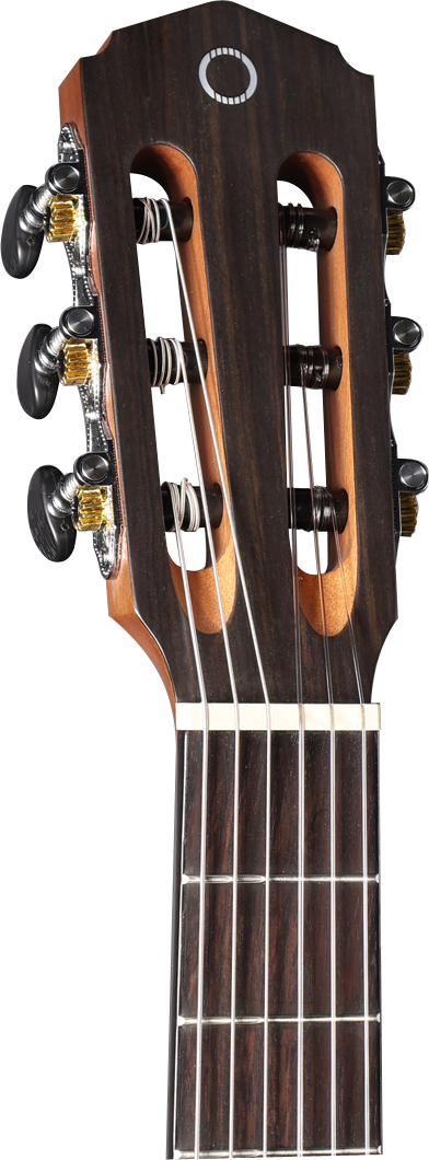 Altura A1M-34 Alumna Series 3/4 Size Classical with Gig Bag