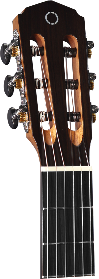 Altura A1M Alumna Series 4/4 Size Classical with Gig Bag