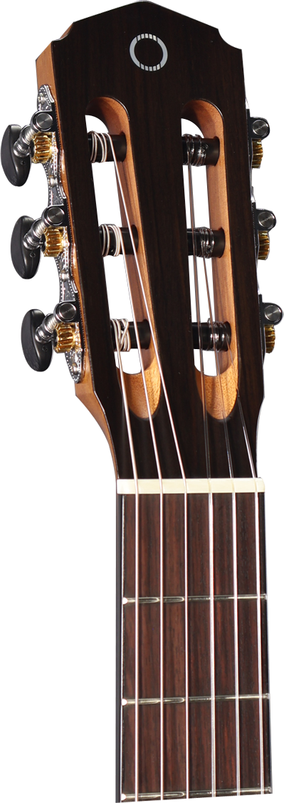 Altura A3M Alumna Series 4/4 Size Solid Top Classical with Gig Bag