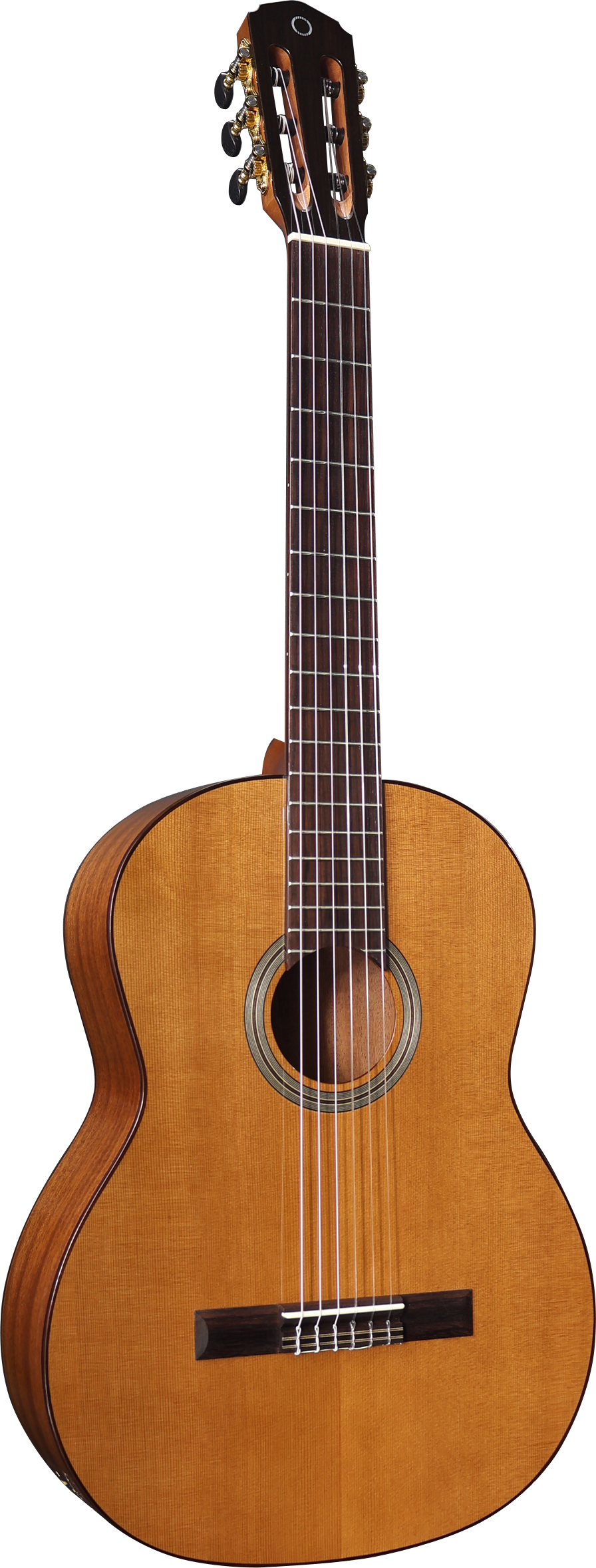 Altura A5 Oceana Series Solid Top Classical with Gig Bag