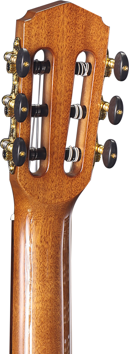 Altura A5 Oceana Series Solid Top Classical with Gig Bag