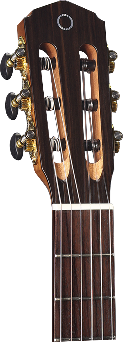 Altura A5 Oceana Series Solid Top Classical with Gig Bag