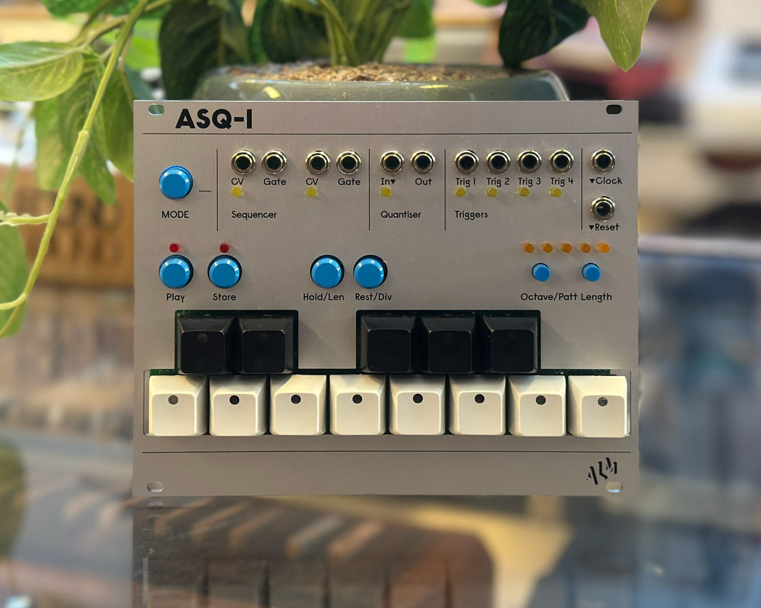 ALM Busy Circuits ASQ-1 Multimode Sequencer – Found Sound
