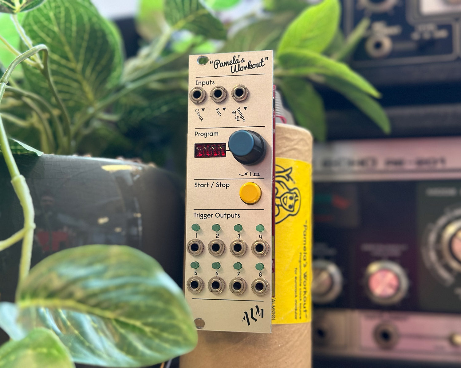 鍵盤楽器 alm busy / Pamela's NEW Workout ALM Busy Pamela's Pro Workout— Clockface Modular