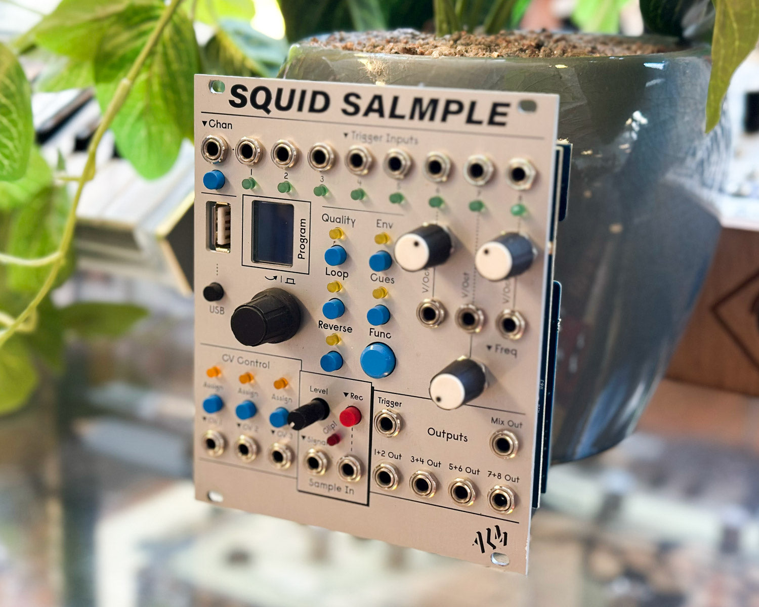 ALM Busy Circuits || Squid Salmple モジュラー ALM Busy Circuits