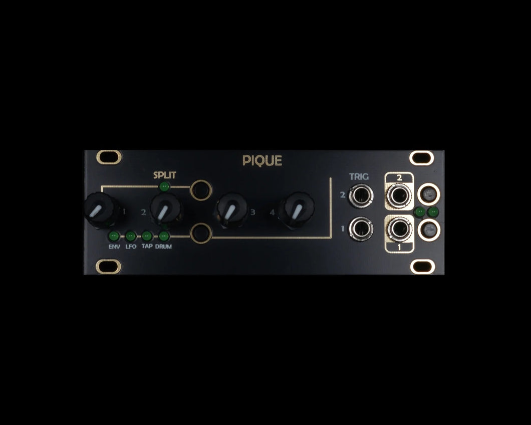 After Later Audio PIQUE 1U