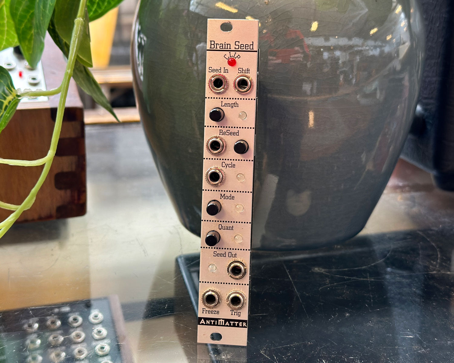 Antimatter Audio Brain Seed Step Recorder – Found Sound