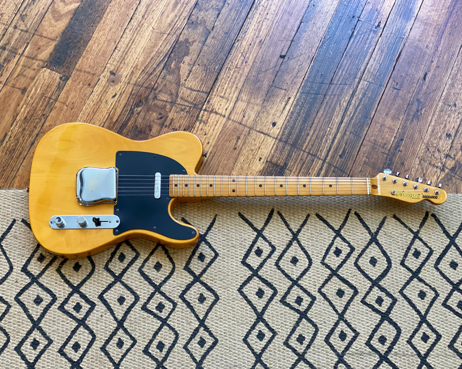 Aria Pro II Backaroo – Found Sound