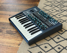 Load image into Gallery viewer, Arturia MiniBrute - (Modded) w/ Decksaver
