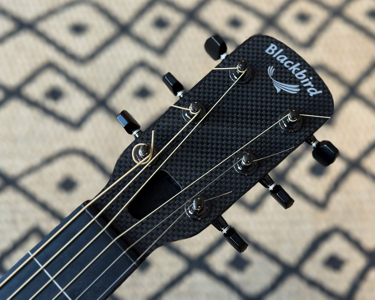 One of One Blackbird Super OM Custom Fretless Carbon Fibre Orchestral Model Acoustic Guitar w/Fishman TriplePlay MIDI Pickup