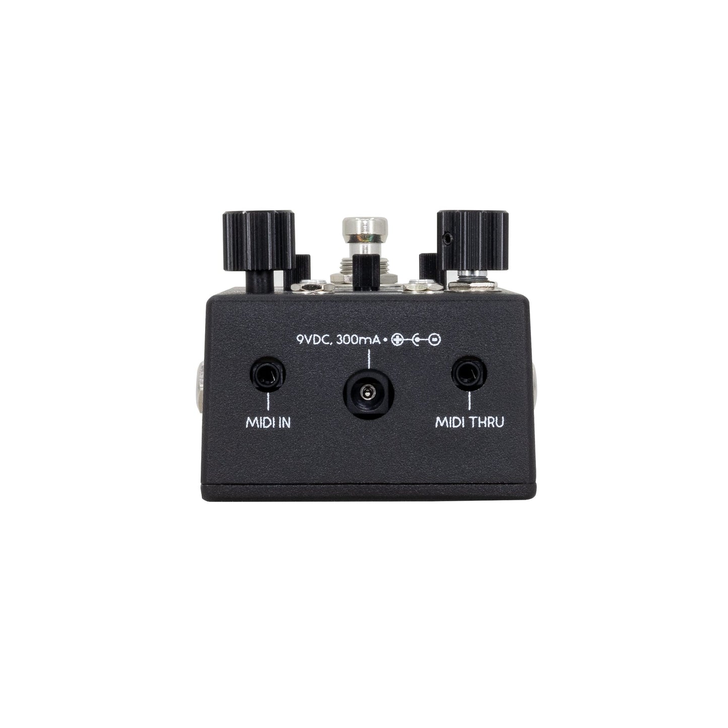 Walrus Audio Canvas Rehearsal - Black