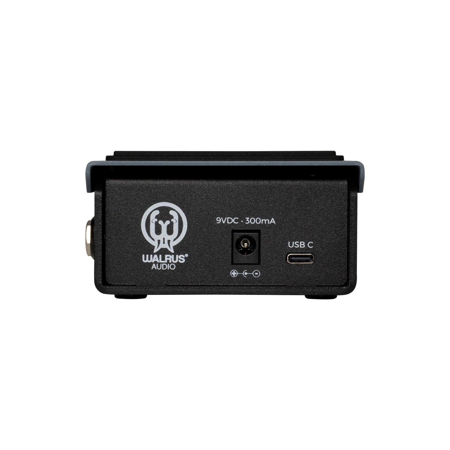 Walrus Audio Canvas Expression