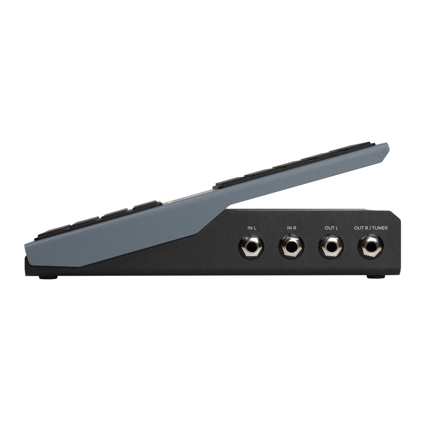 Walrus Audio Canvas Expression