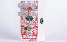 Load image into Gallery viewer, Limited Edition Catalinbread Bicycle Delay 3D with 3D Glasses 👓
