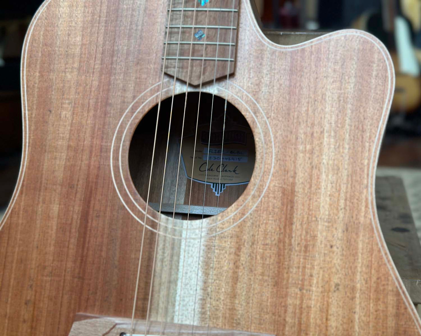 Cole Clark FL2EC-BLBL Acoustic Guitar
