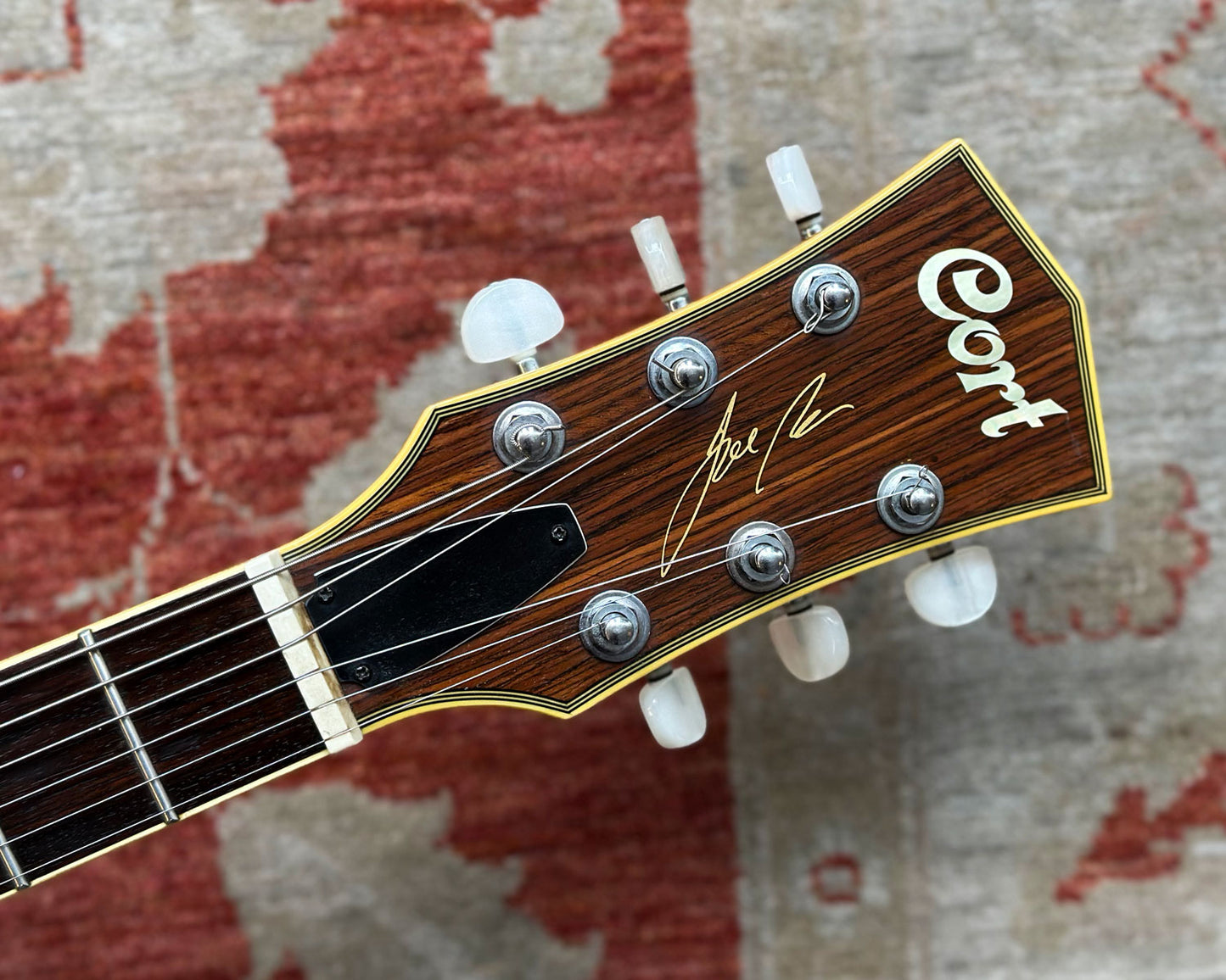 Cort Joe Beck Signature Standard Model