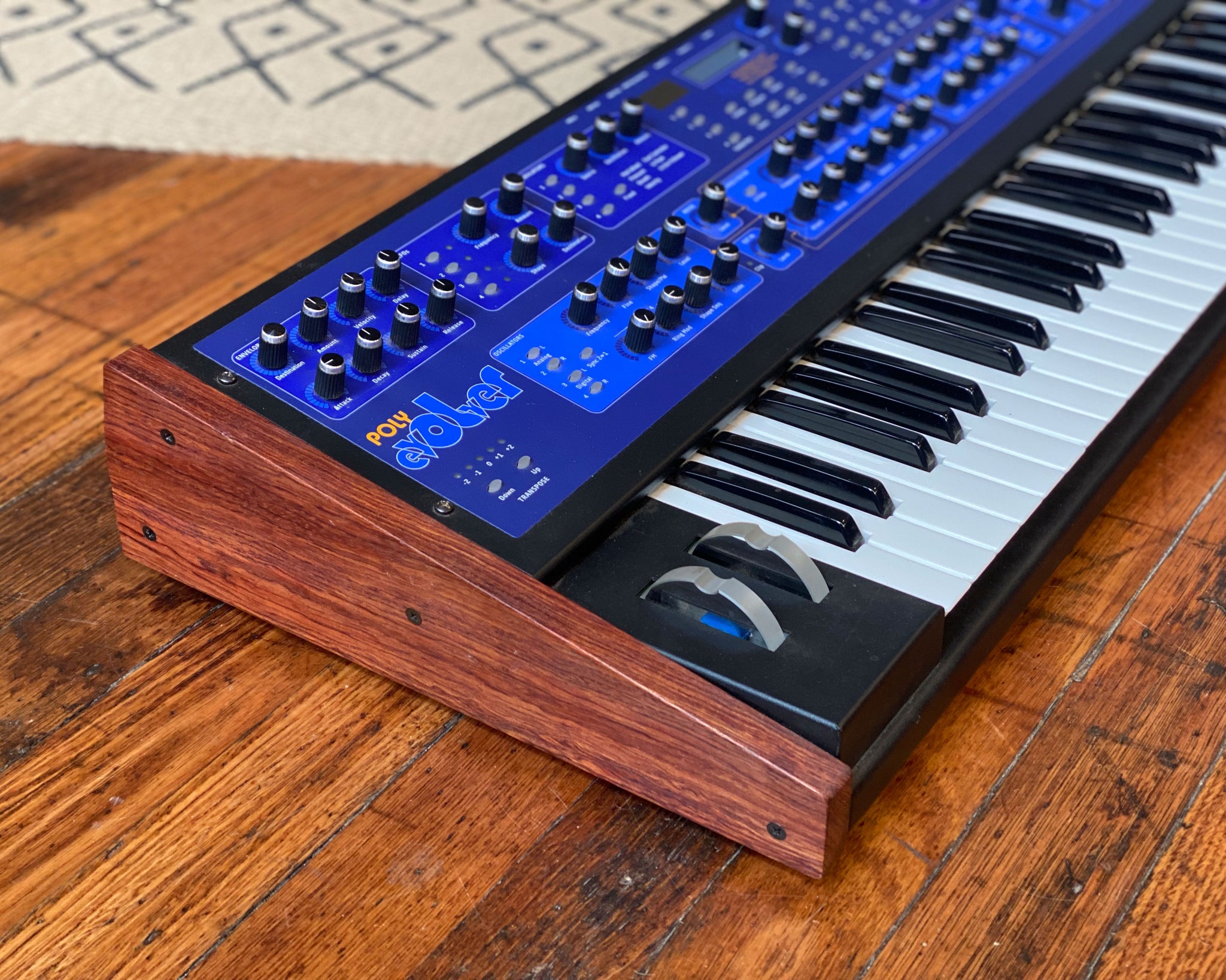 Dsi store poly evolver